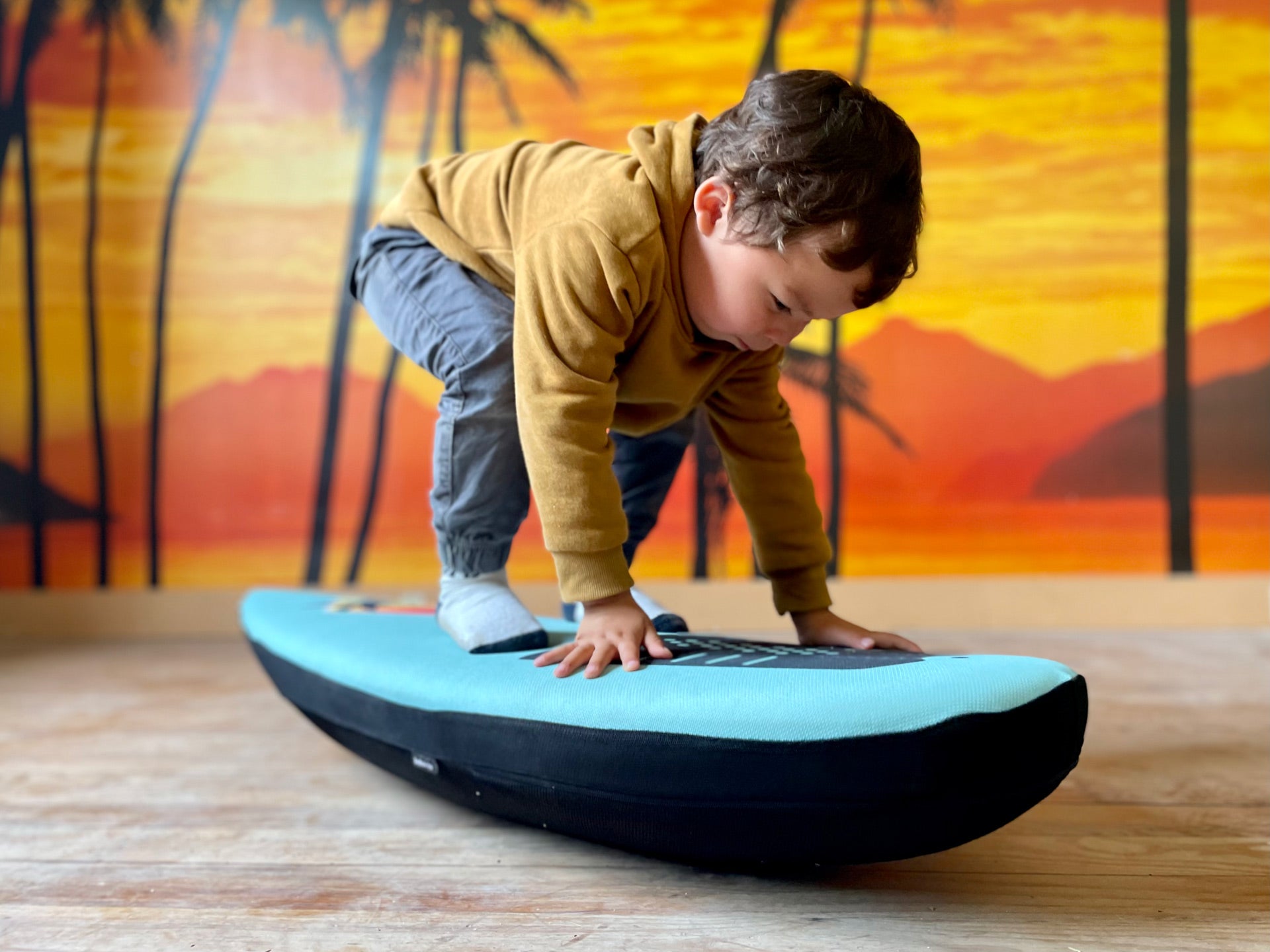 Balance Board for Kids: A Comprehensive Guide to Fun and Development