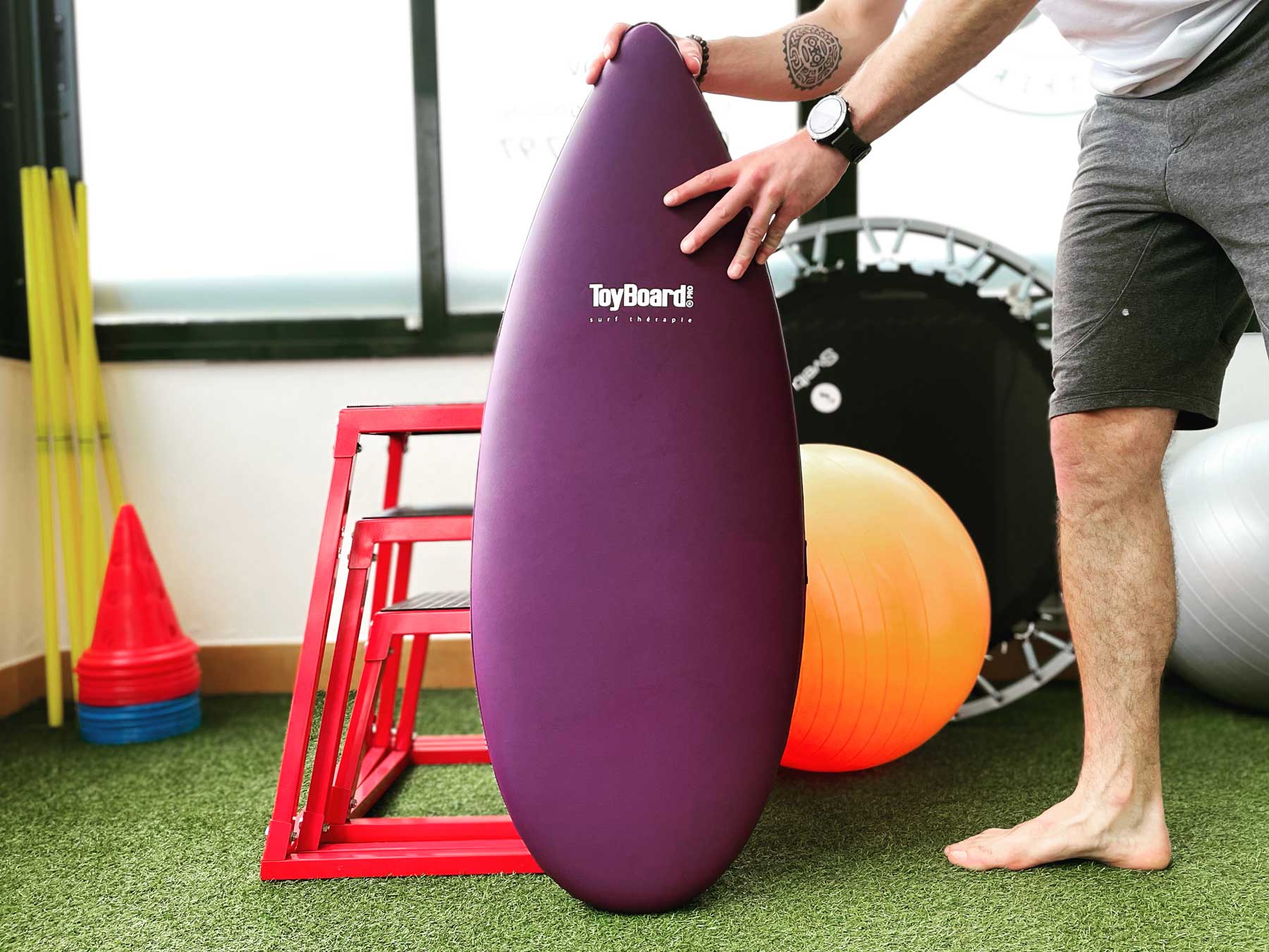 ToyBoard® Pro Prune