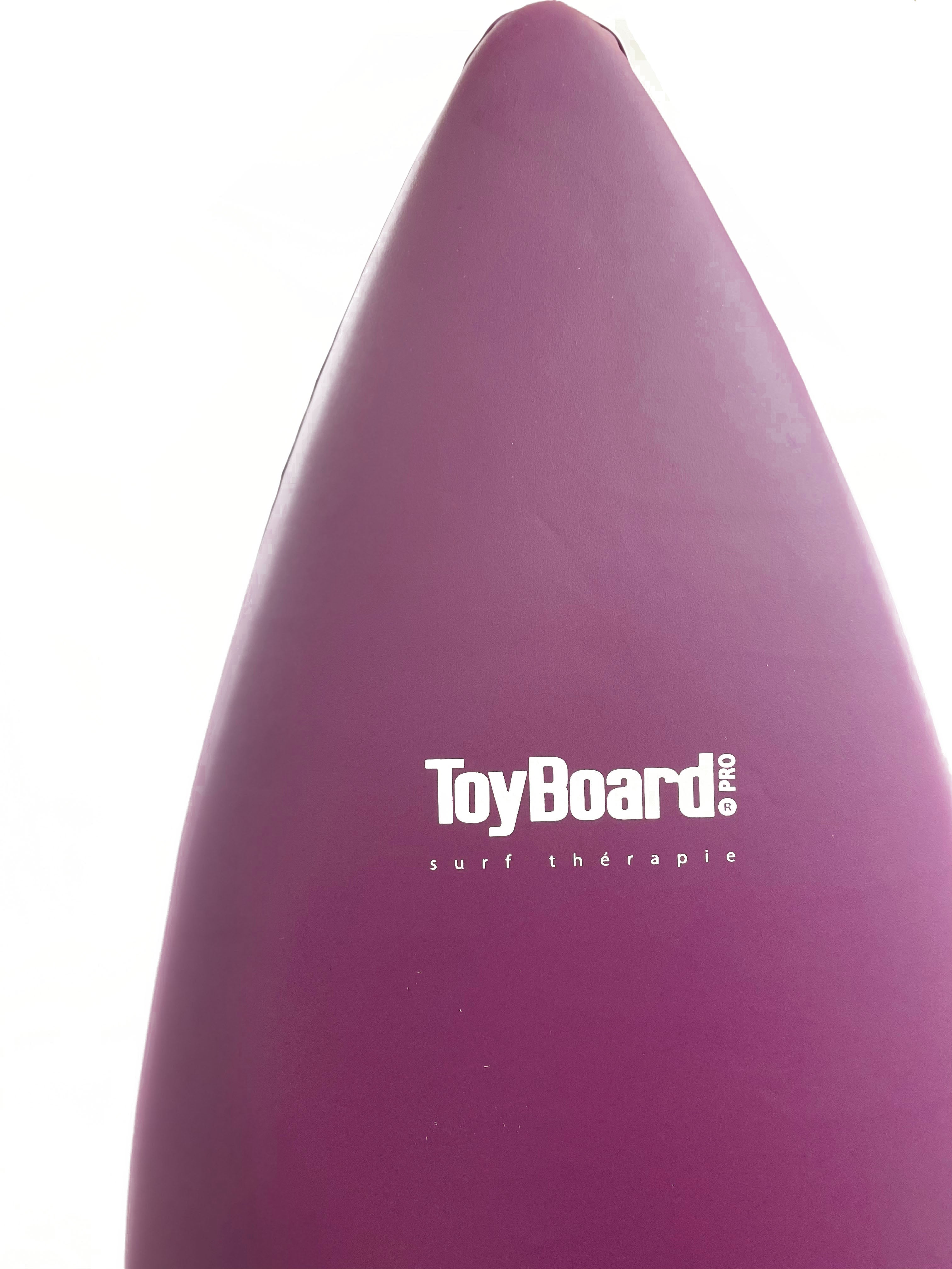 Purple Sunset Pro Balance Board