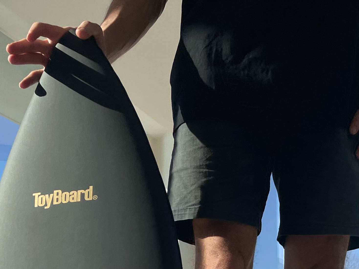 Black & Gold Balance Board - ToyBoard