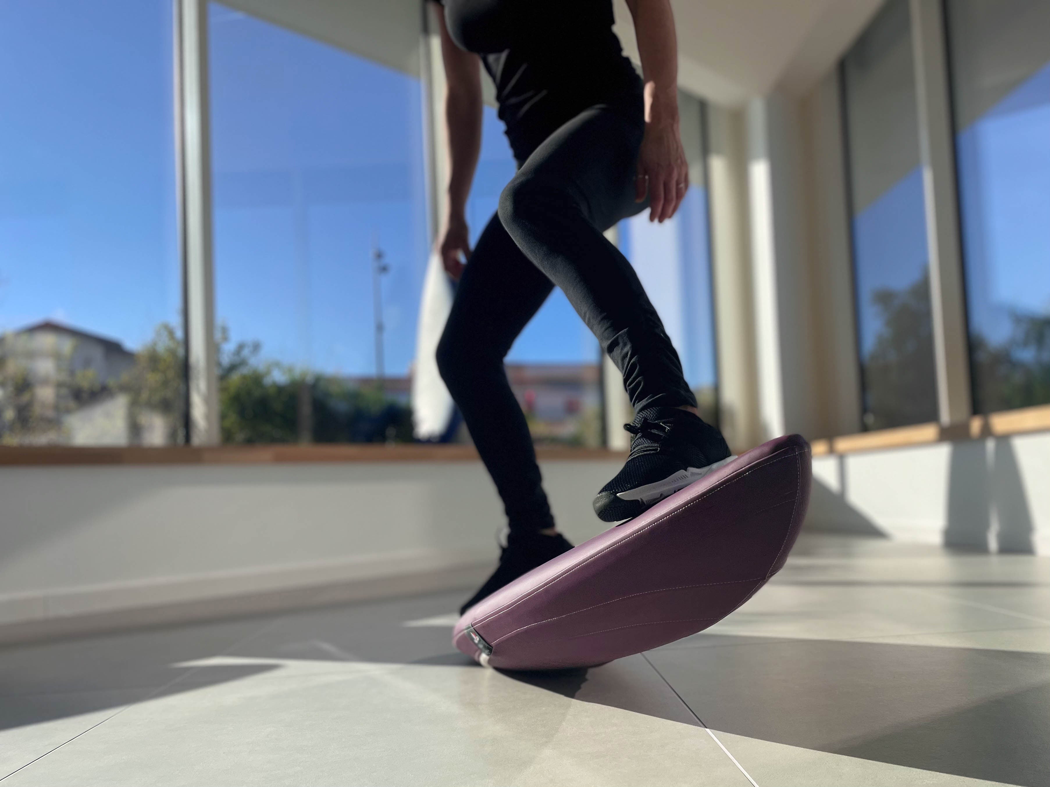 Purple Sunset Pro Balance Board