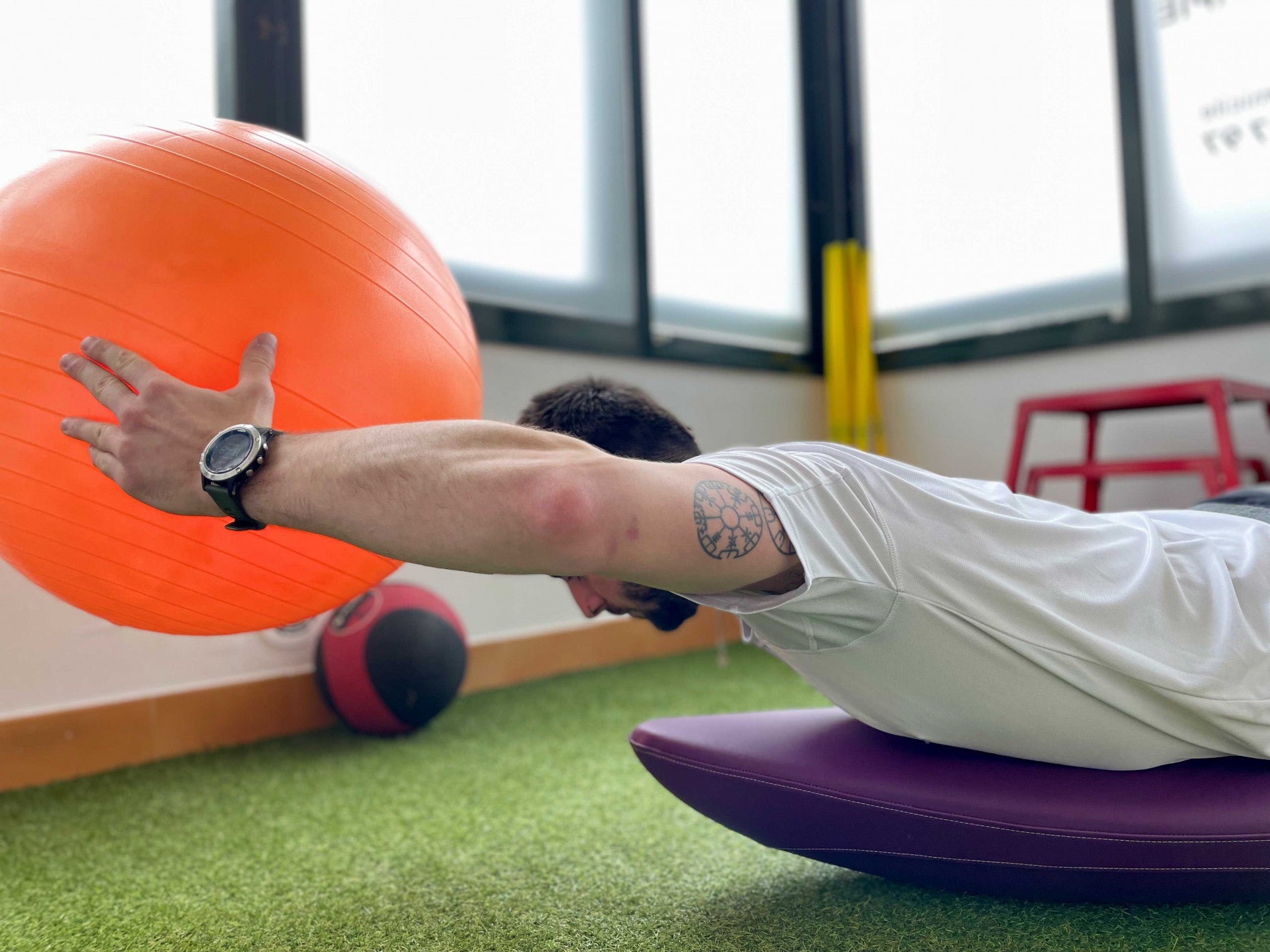 ToyBoard® Pro Prune