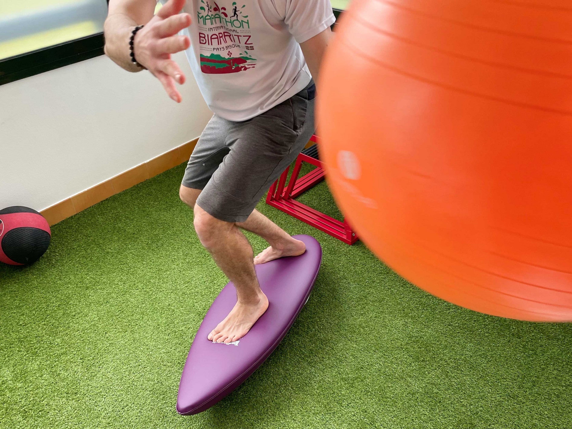 ToyBoard® Pro Prune