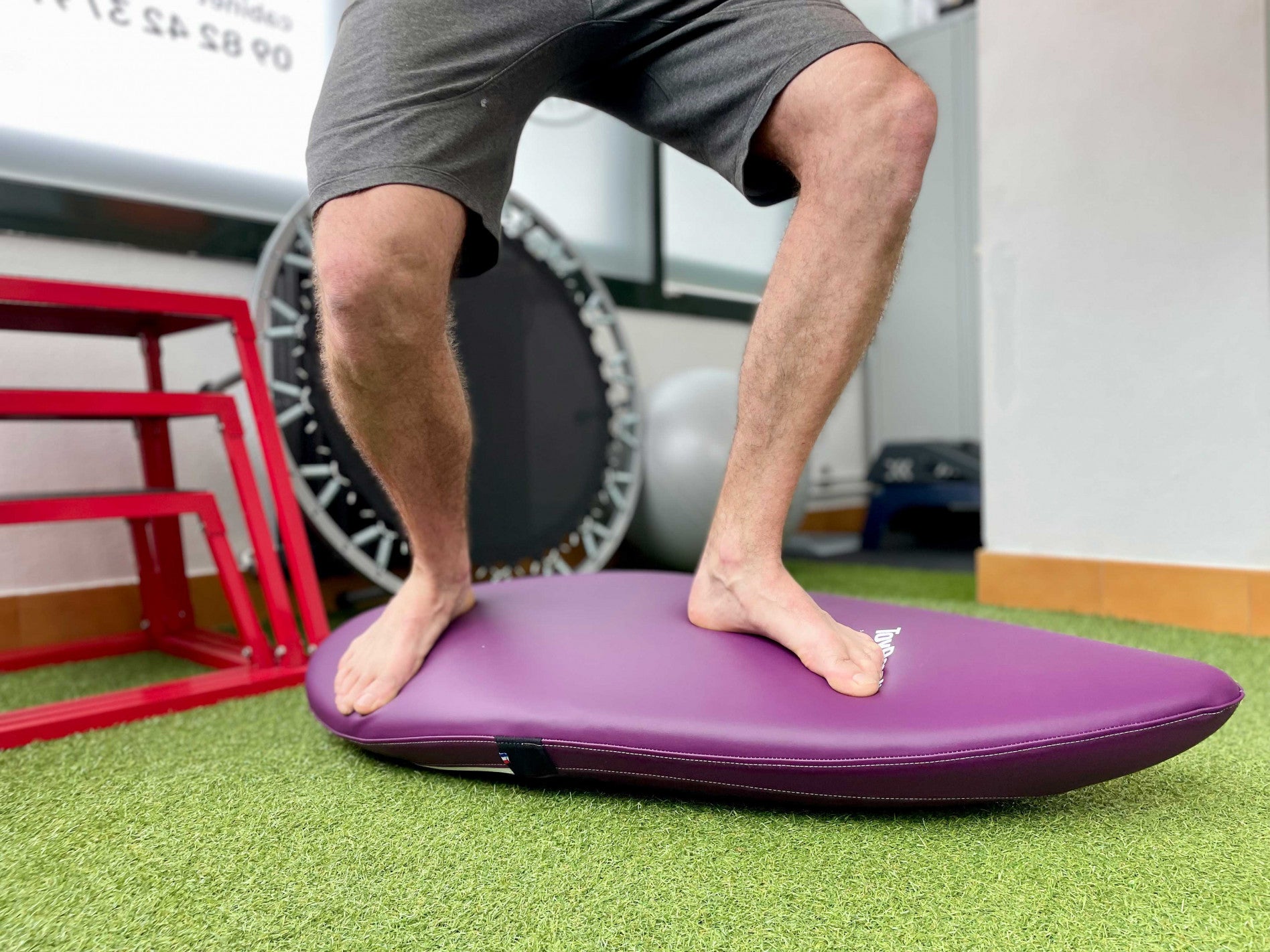 ToyBoard® Pro Prune