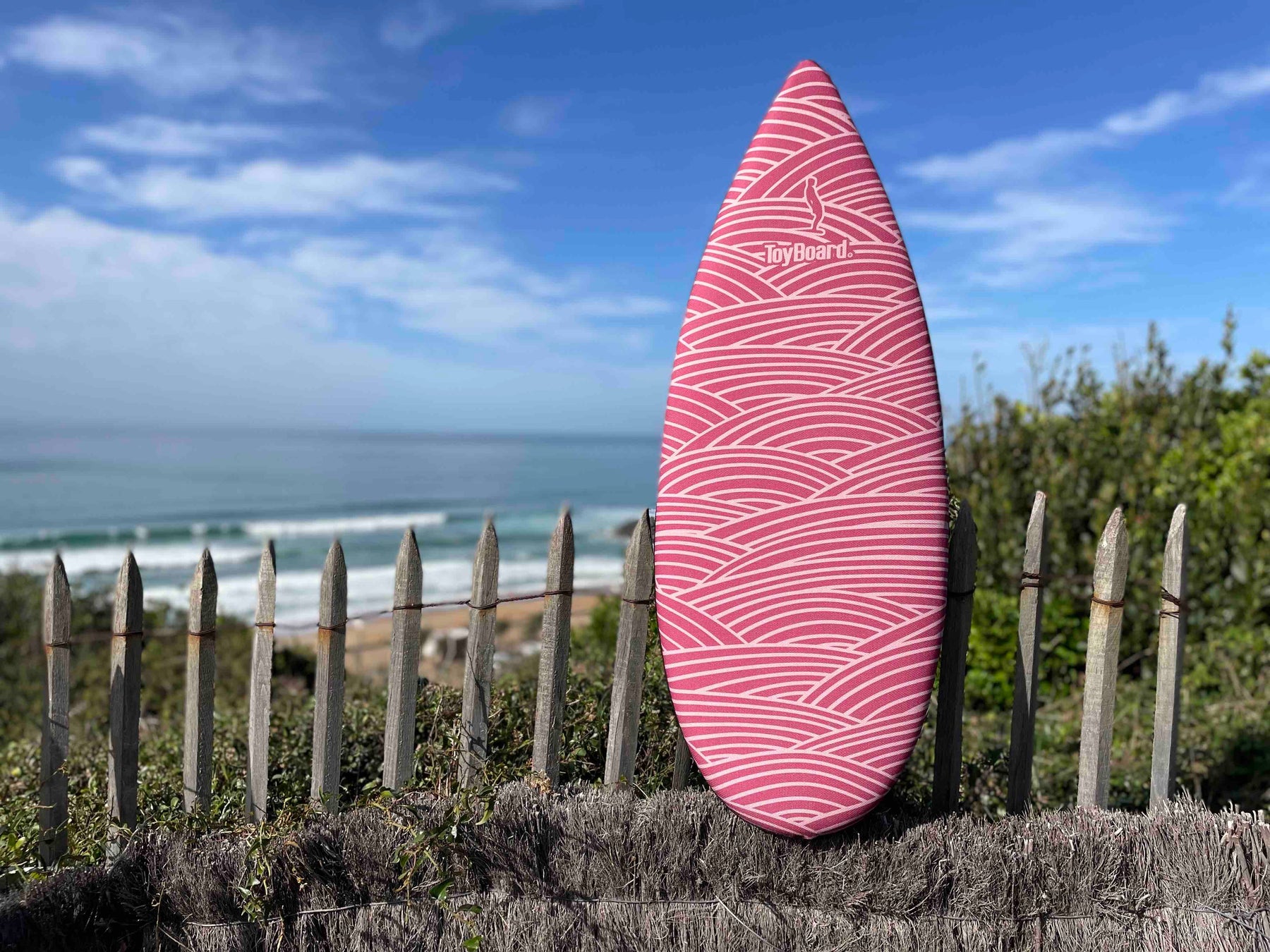 Noseride Balance Board