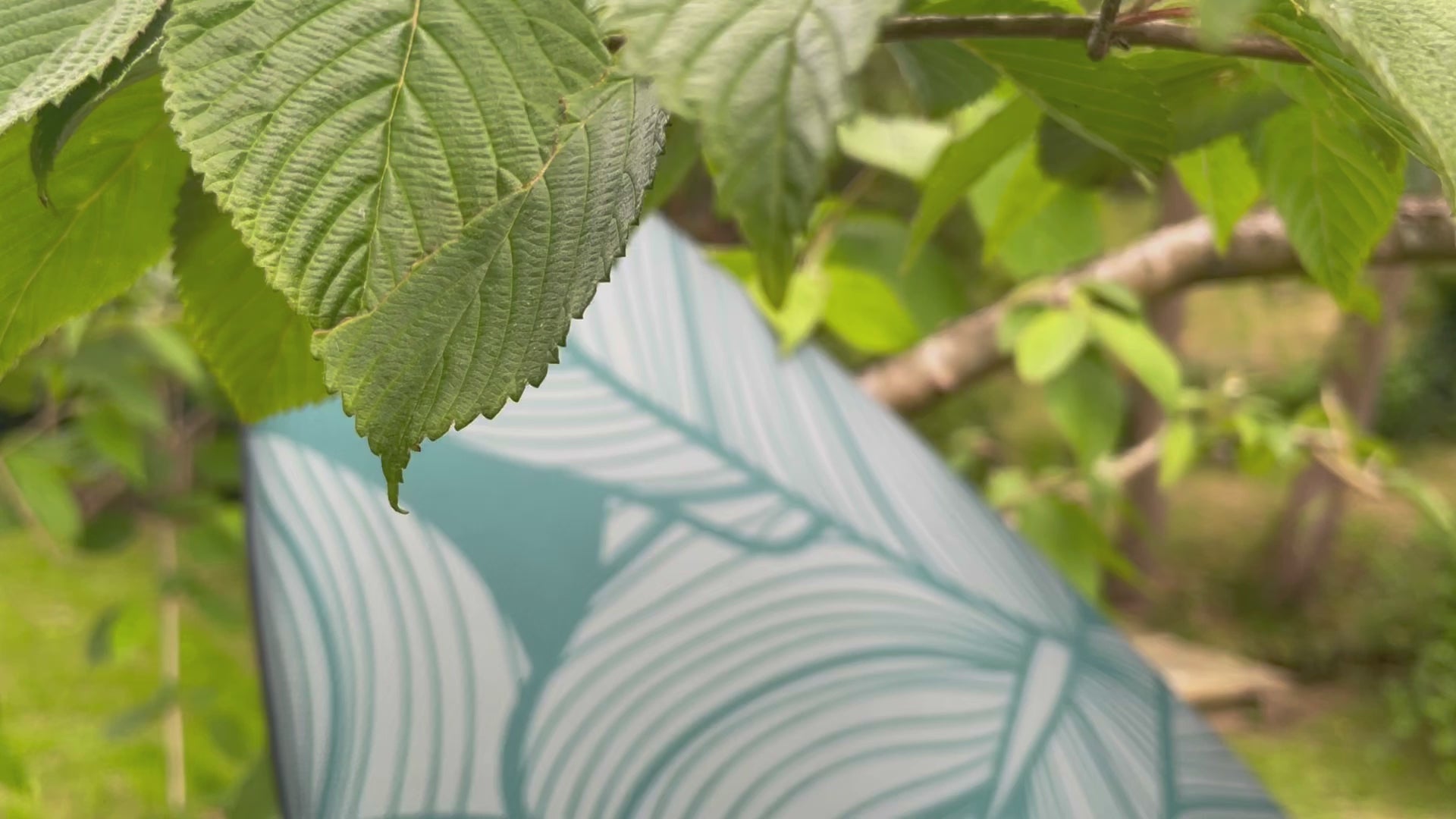 Charger la vidéo : ToyBoard® Vegetal